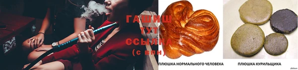 эйфоретик Аркадак