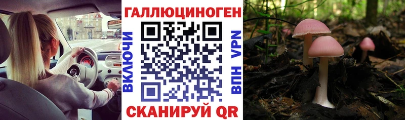 Купить закладки  Баксан  Галлюциногенные грибы мухоморы 